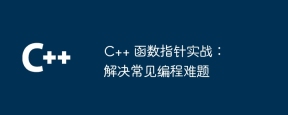 C++ 函数指针实战:解决常见编程难题
