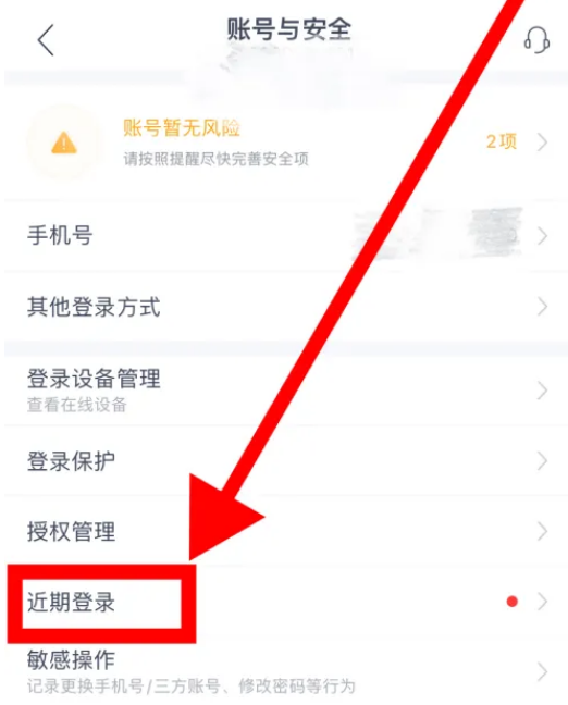 Where can I view recent logins in NetEase Cloud Music?