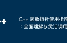 C++ 函数指针使用指南：全面理解与灵活调用