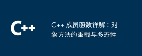 C++ 成员函数详解:对象方法的重载与多态性