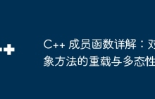 C++ 成员函数详解：对象方法的重载与多态性