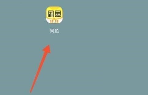 闲鱼怎么查看闲鱼公约_闲鱼查看闲鱼公约方法