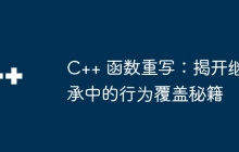 C++ 函数重写：揭开继承中的行为覆盖秘籍