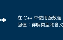 在 C++ 中使用函数返回值：详解类型和含义
