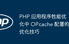 PHP 应用程序性能优化中 OPcache 配置的优化技巧