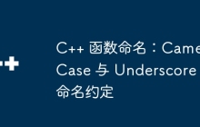 C++ 函数命名：CamelCase 与 Underscore 命名约定