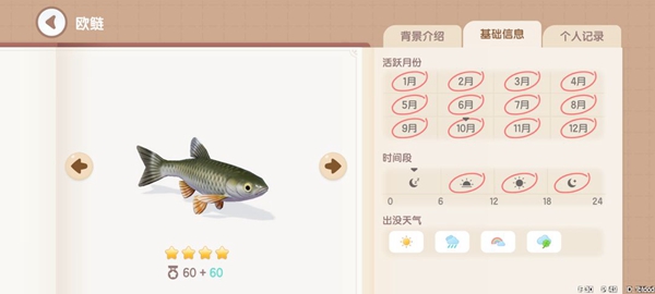 Heartbeat Town Fishing Illustrated List