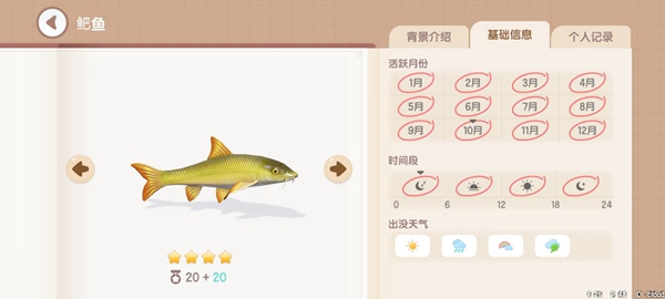 Heartbeat Town Fishing Illustrated List