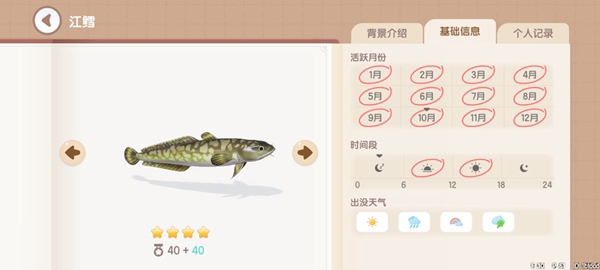 Heartbeat Town Fishing Illustrated List