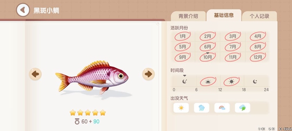 《心動小鎮》釣魚圖鑑一覽