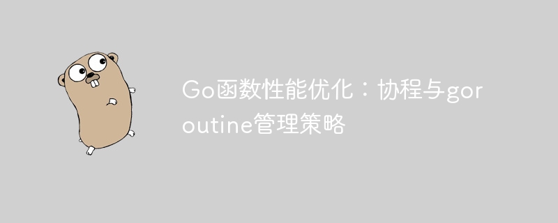 Go 함수 성능 최적화: 코루틴 및 고루틴 관리 전략