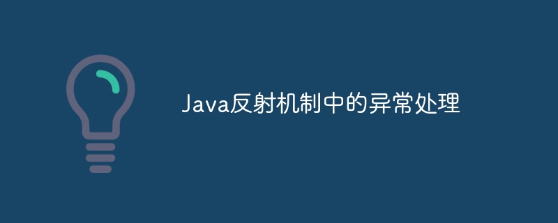 Java 반사 메커니즘의 예외 처리