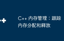 C++ 内存管理：跟踪内存分配和释放