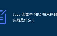 Java 函数中 NIO 技术的最佳实践是什么？