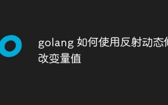 리플렉션을 사용하여 golang의 변수 값을 동적으로 수정하는 방법