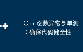 C++ function exceptions and single testing: ensuring code soundness