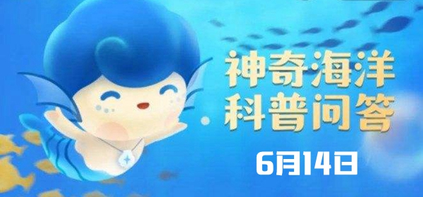 神奇海洋6.14答案：世界上最大的魚類是