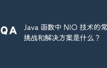 Java 函数中 NIO 技术的常见挑战和解决方案是什么？