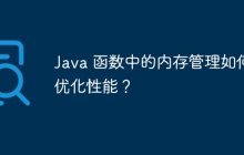 Java 函数中的内存管理如何优化性能？