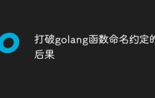 打破golang函数命名约定的后果
