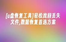 [u盘恢复工具]轻松找回丢失文件,数据恢复首选方案