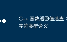 C++ 函数返回值速查：字符类型含义