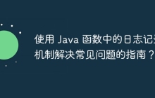 使用 Java 函数中的日志记录机制解决常见问题的指南？