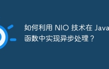 如何利用 NIO 技术在 Java 函数中实现异步处理？