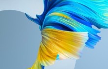 华为mate40pro在哪开启防误触模式_华为mate40pro开启防误触模式步骤一览