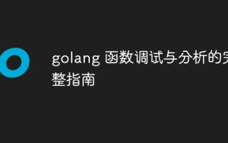 Un guide complet sur le débogage et l'analyse des fonctions Golang