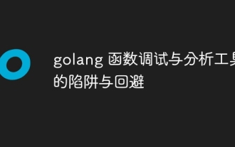 golang 函數調試與分析工具的陷阱與迴避