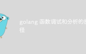 Shortcut to golang function debugging and analysis