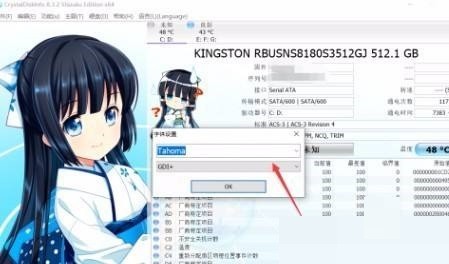 CrystalDiskInfo怎麼設定字型_CrystalDiskInfo設定字型教學