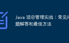 Java 项目管理实战：常见问题解答和最佳方法