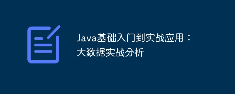 Java の基礎から実践的な応用への入門: ビッグデータの実践的な分析