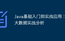 Java基础入门到实战应用：大数据实战分析