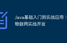 Java基础入门到实战应用：物联网实战开发