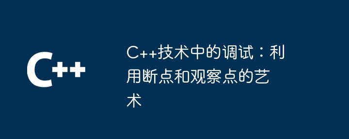 C++技術中的調試：利用斷點和觀察點的藝術