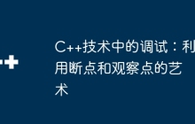 C++技术中的调试：利用断点和观察点的艺术