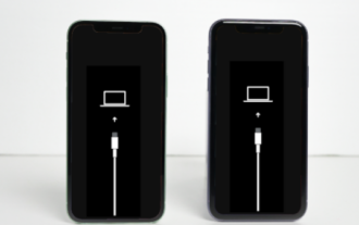 Wie verlasse ich den Wiederherstellungsmodus auf einem Apple-Telefon? Empfehlen Sie 3 gängige Methoden!