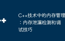C++技术中的内存管理：内存泄漏检测和调试技巧