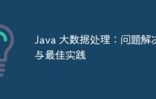 Java 大数据处理：问题解决与最佳实践