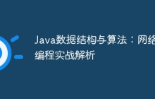 Java数据结构与算法:网络编程实战解析