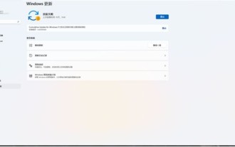 Windows 11 10.0.22000.100 설치 시 발생하는 0x80242008 오류 해결 방법