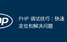 PHP 调试技巧：快速定位和解决问题