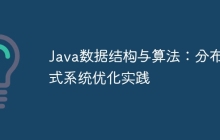 Java数据结构与算法：分布式系统优化实践