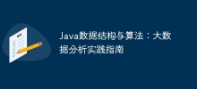 Java数据结构与算法：大数据分析实践指南