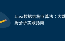 Java数据结构与算法：大数据分析实践指南