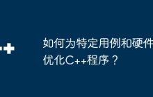 如何为特定用例和硬件优化C++程序？