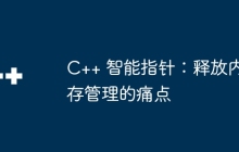C++ 智能指针：释放内存管理的痛点